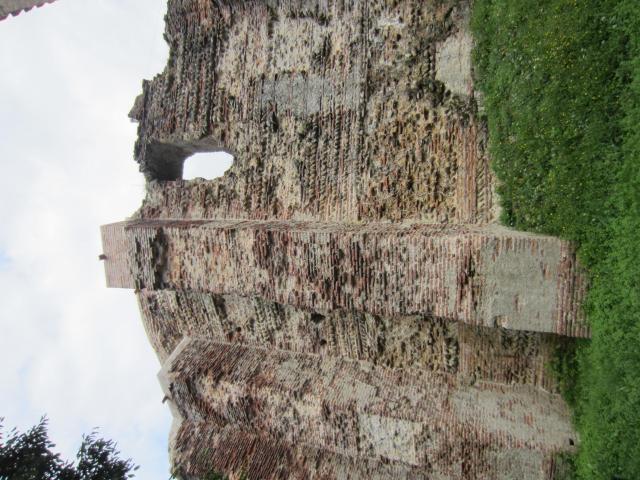 IMG_9337.JPG