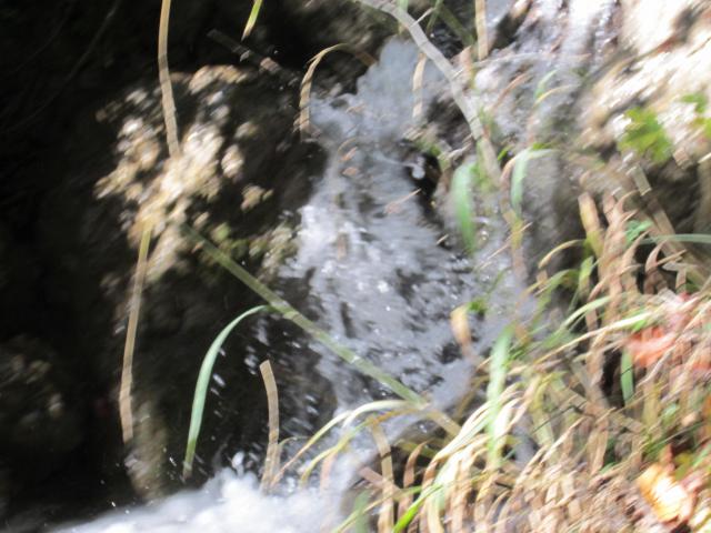 IMG_9501.JPG
