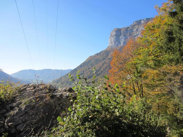 IMG_9502.JPG