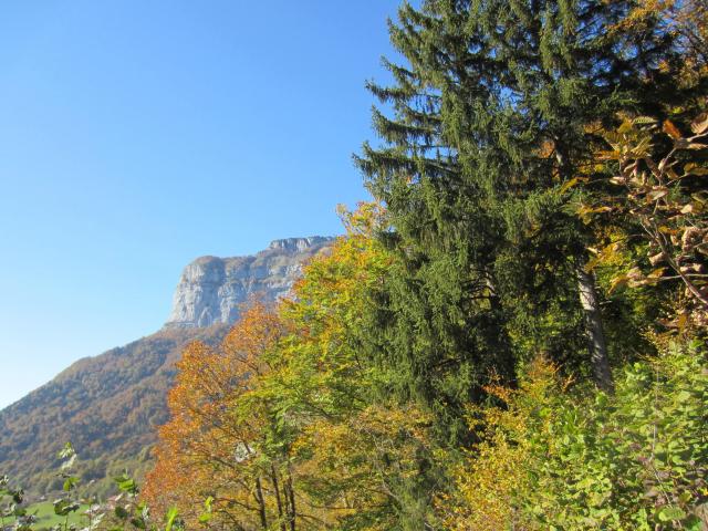 IMG_9503.JPG