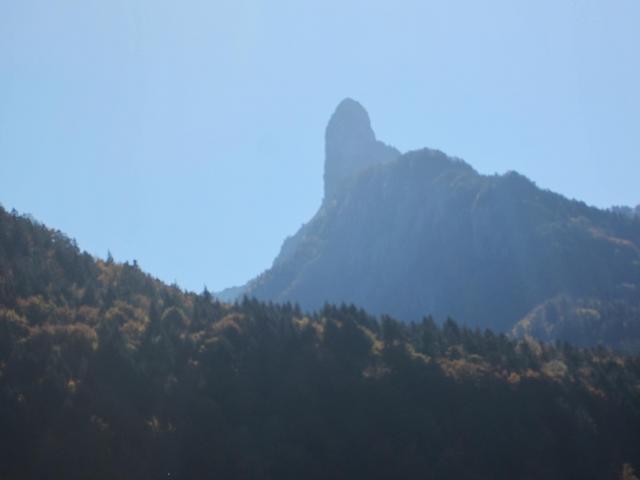 IMG_9505.JPG
