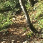 IMG_9508.JPG