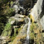 IMG_9511.JPG