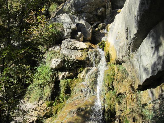IMG_9511.JPG