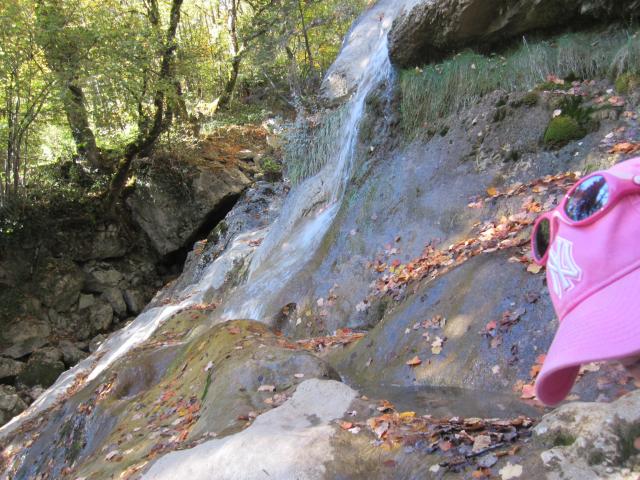 IMG_9514.JPG