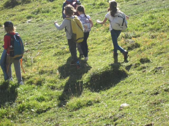 IMG_9539.JPG
