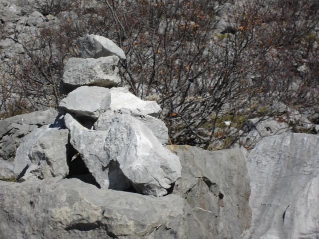 IMG_9540.JPG