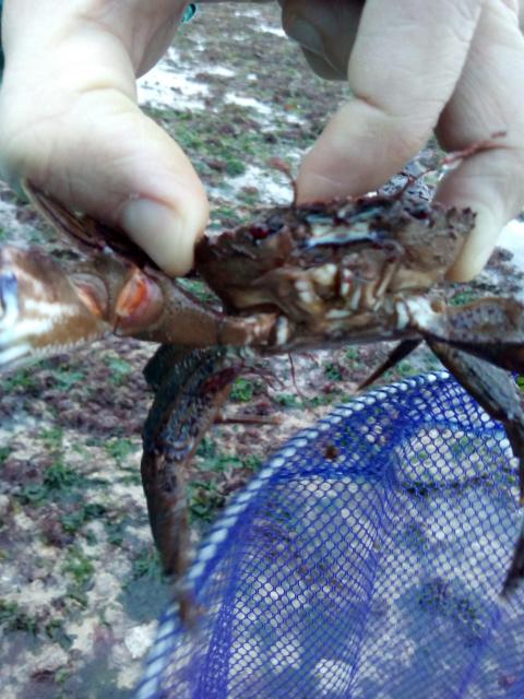 IMG_20171104_171716.jpg