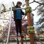 IMG_20171112_155059.jpg