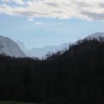 IMG_9609.JPG