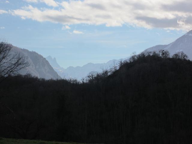 IMG_9609.JPG