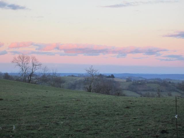 IMG_9616.JPG
