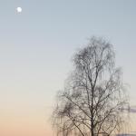 IMG_9620.JPG