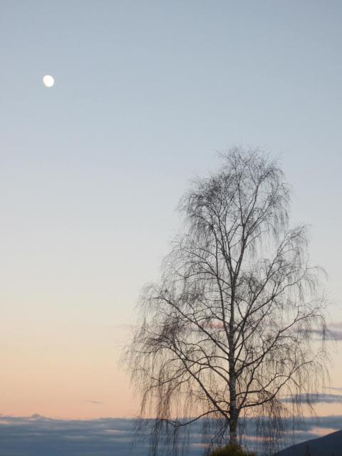 IMG_9620.JPG