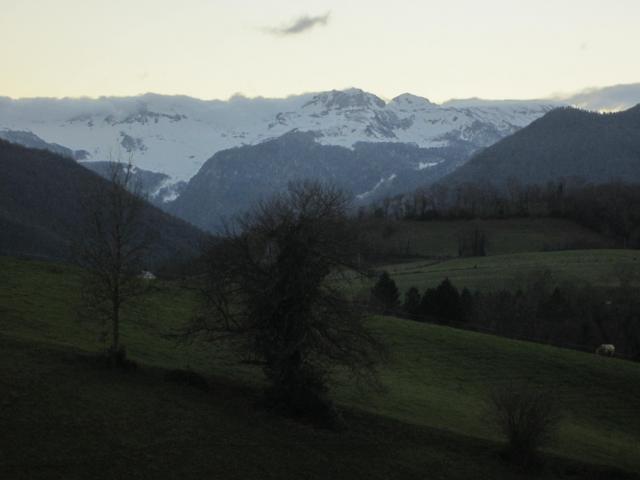 IMG_9626.JPG