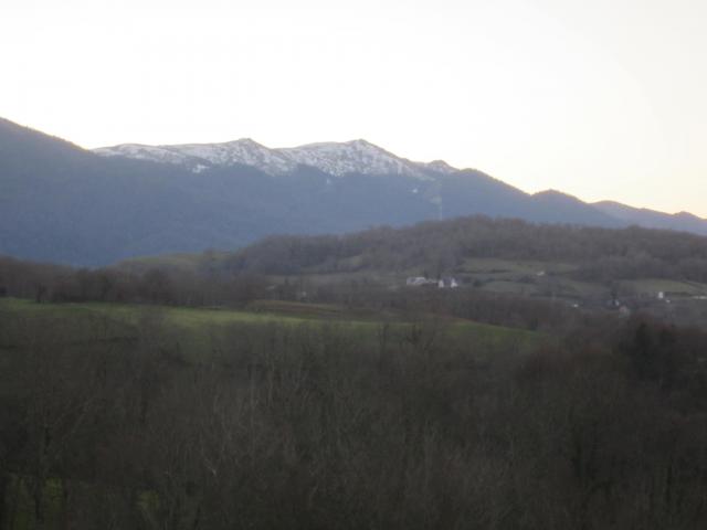 IMG_9627.JPG
