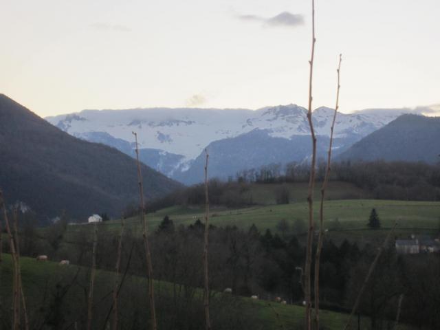 IMG_9632.JPG