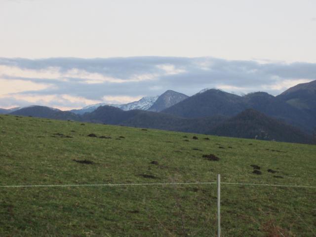 IMG_9633.JPG