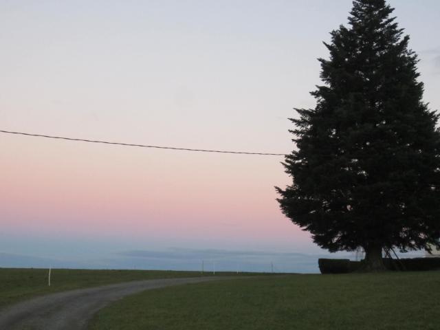 IMG_9635.JPG