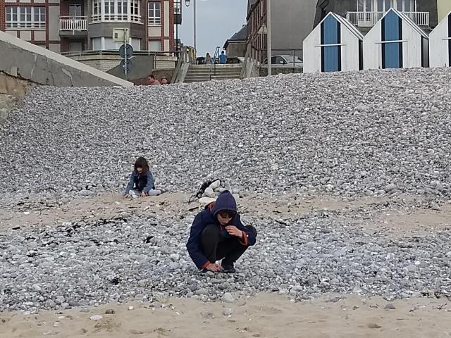 IMG_20180422_183640522.jpg