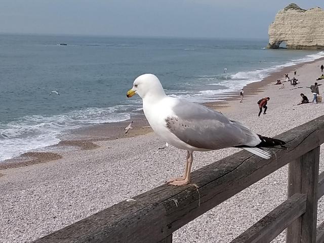 IMG_20180424_170310146.jpg