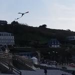 IMG_20180424_184704813_BURST001.jpg