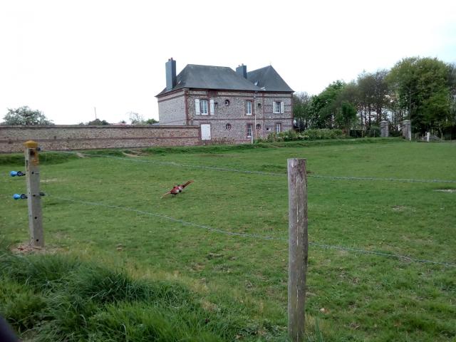 IMG_20180424_200035.jpg
