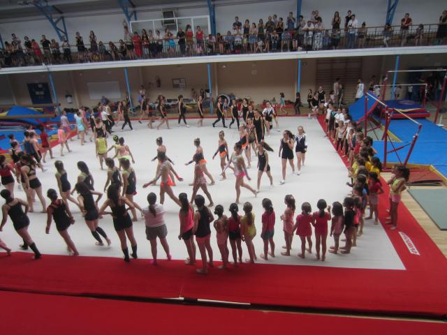 IMG_9868.JPG