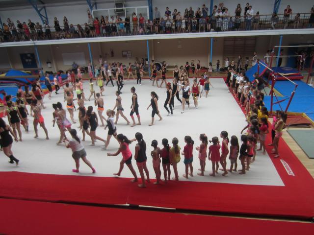 IMG_9869.JPG