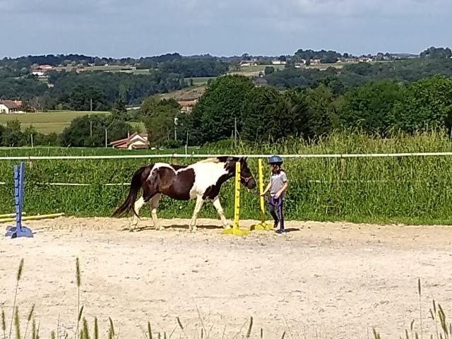 IMG_20180817_161905099.jpg