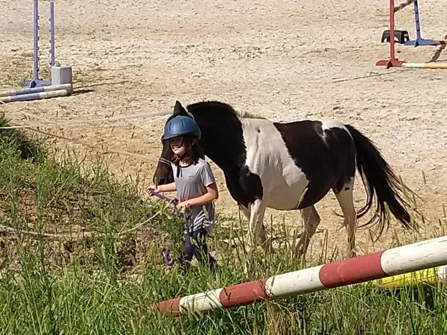 IMG_20180817_163612222.jpg