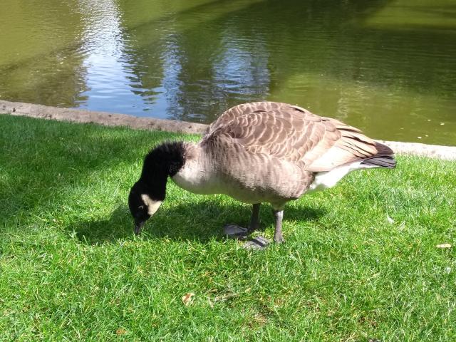 IMG_20180921_134755263.jpg