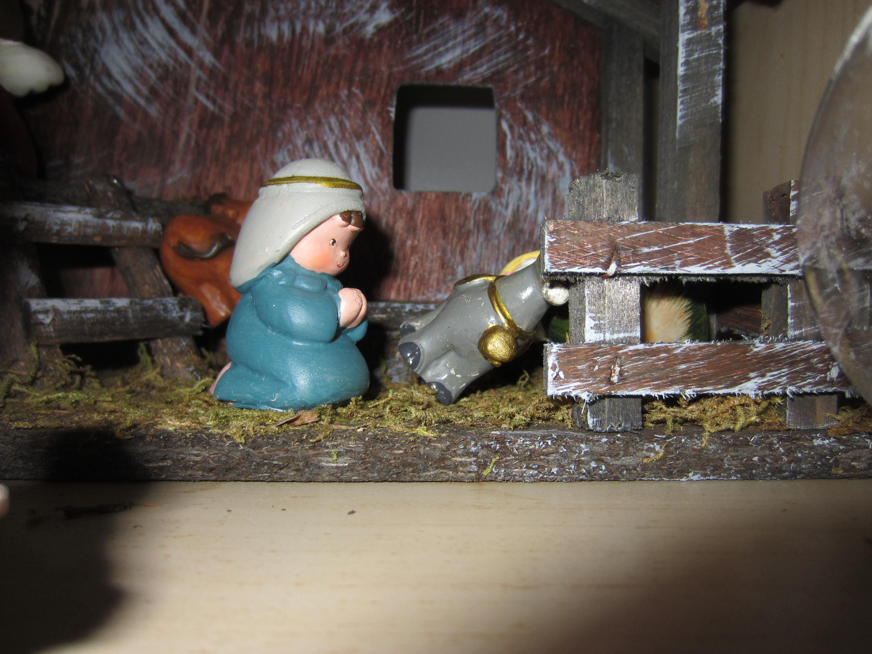 IMG_9950.JPG