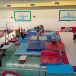 IMG_20190406_165026.jpg