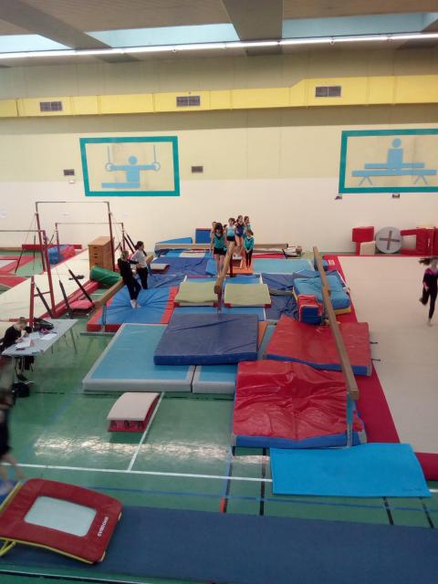 IMG_20190406_165026.jpg