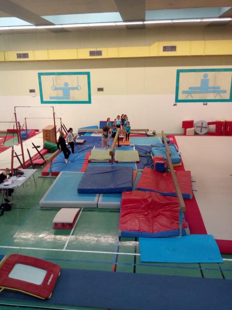 IMG_20190406_165029.jpg