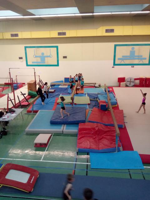 IMG_20190406_165030.jpg