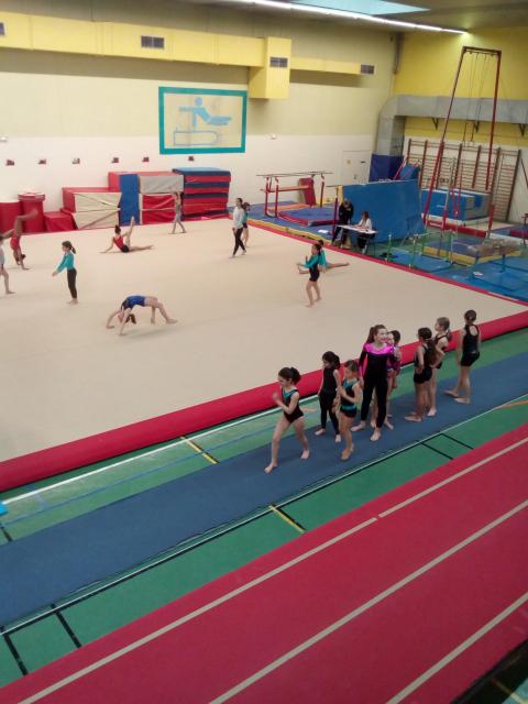 IMG_20190406_170849.jpg