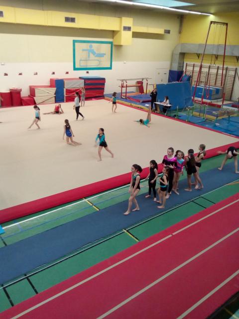 IMG_20190406_170854.jpg
