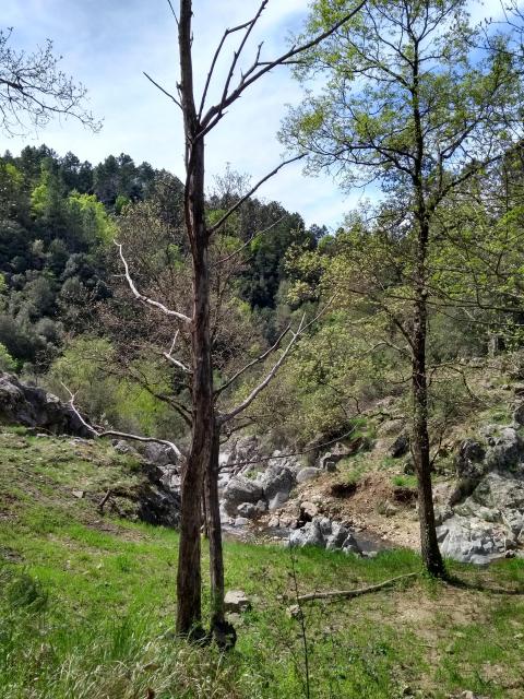 IMG_20190428_151825540_HDR.jpg