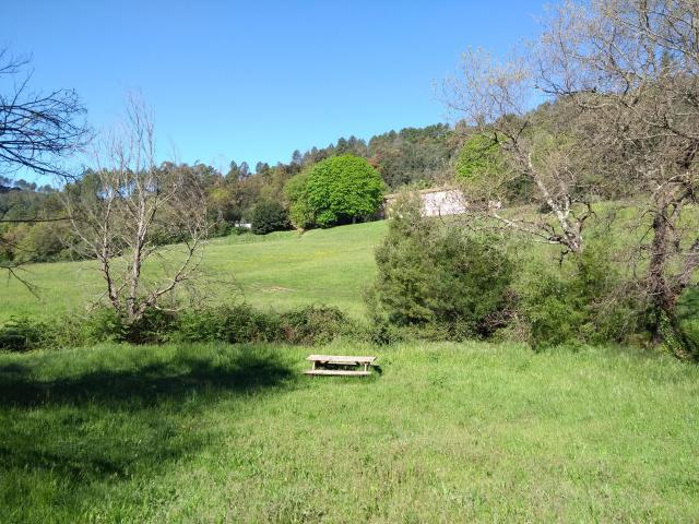 IMG_20190430_095239922.jpg