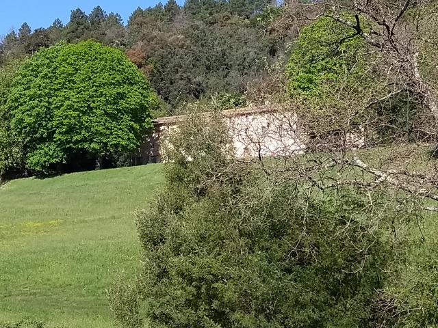 IMG_20190430_095312486.jpg