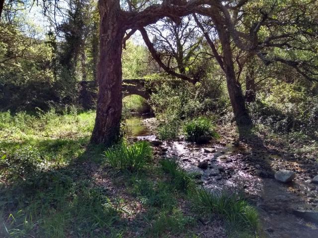 IMG_20190430_100355644_HDR.jpg