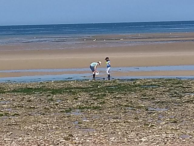 IMG_20190531_163218433.jpg