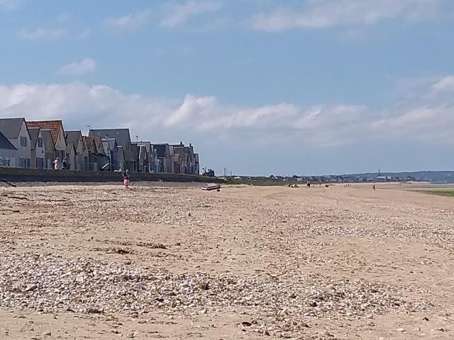 IMG_20190531_163803956.jpg