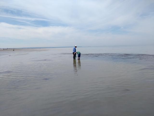 IMG_20190601_165701732.jpg