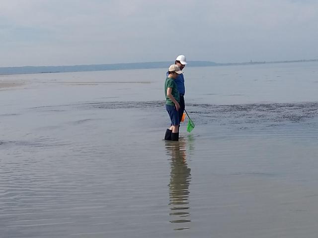 IMG_20190601_165711128.jpg