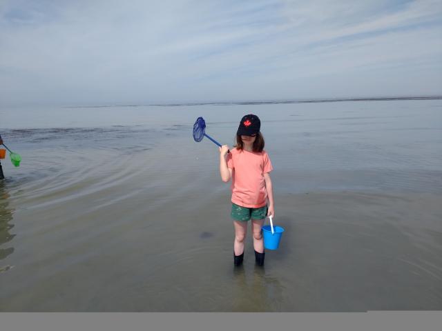 IMG_20190601_165739750.jpg
