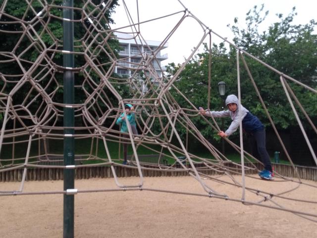 IMG_20190605_151537387.jpg