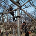 2019-12-15-16-29-54_redmi7a.jpg